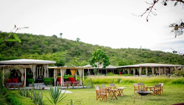 Zebra Plains Mara Camp - Zebra Plains Collection