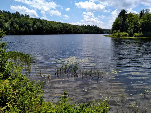 Messalonskee Stream Trail
