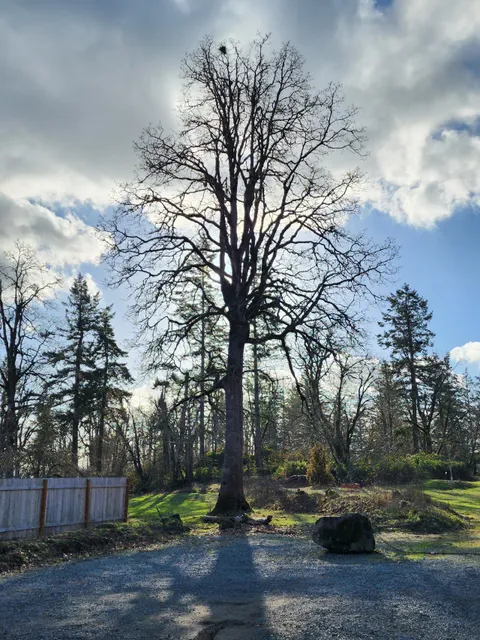 Gladstone Nature Park