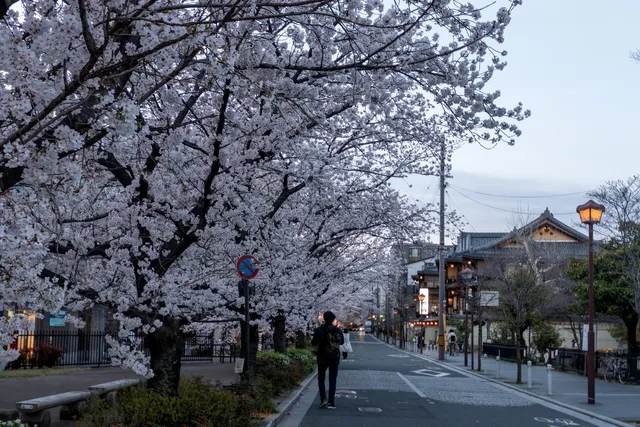 Ushiwaka-hiroba Park