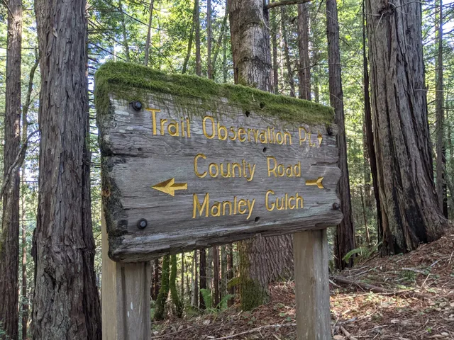 Jackson Demonstration State Forest