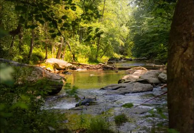 Gunpowder Falls State Park Hammerman Area