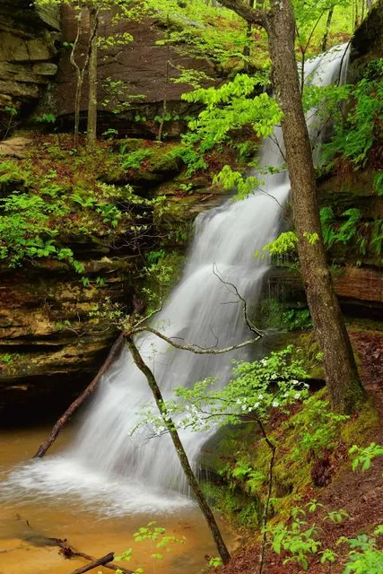 Hickory Canyons Natural Area
