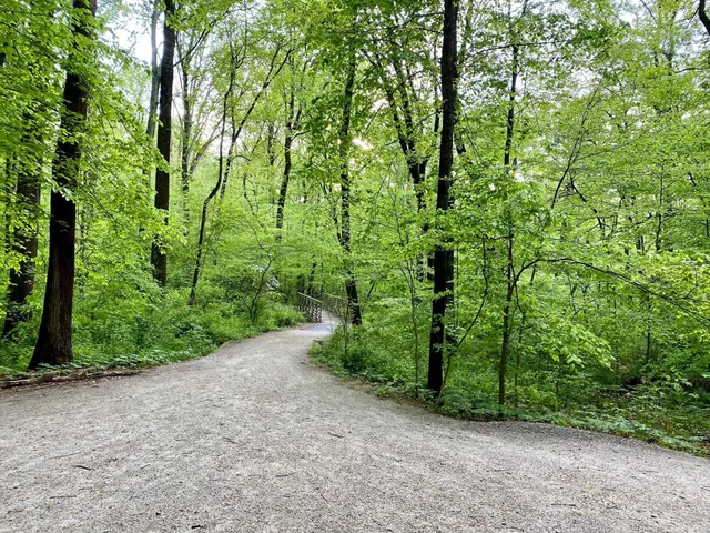 Daniels Run Park