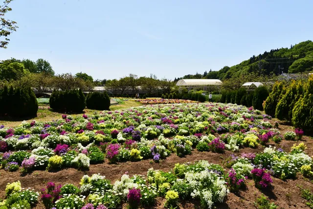 Shirakawa Flower World