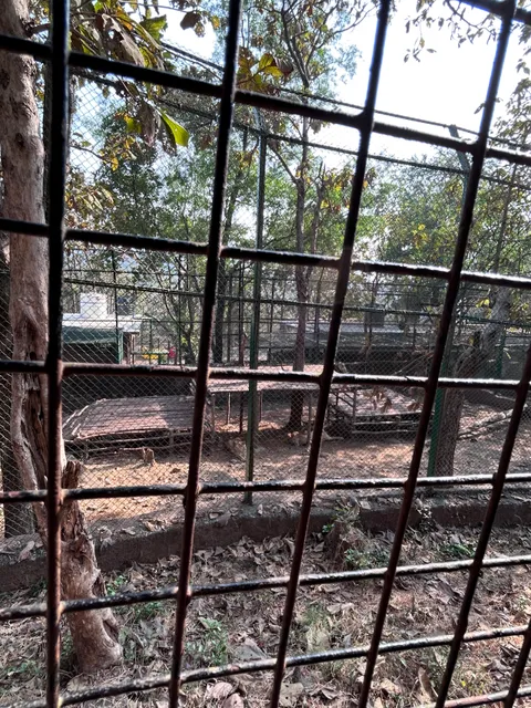 Tiger and Lion Safari Ticket Counter