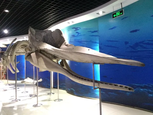 Underwater World Qingdao （South Gate）