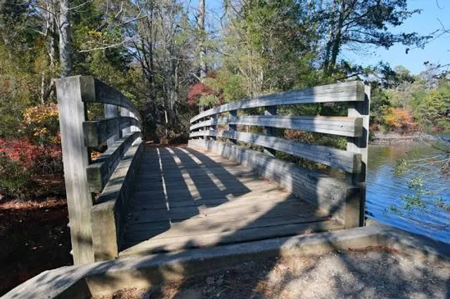 Belleplain State Forest