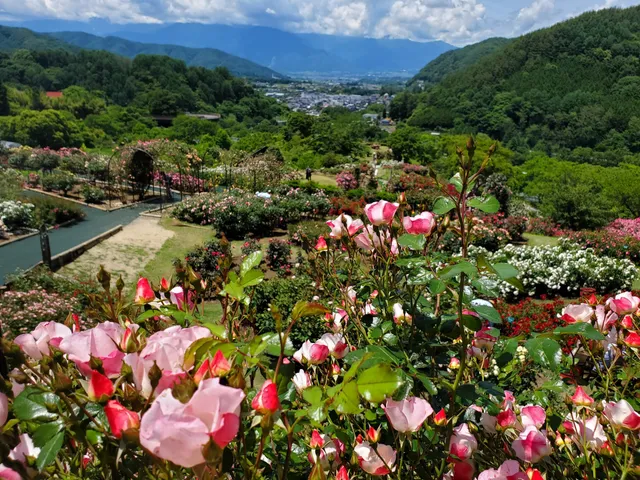 Takato Shinwa no Oka Rose Garden