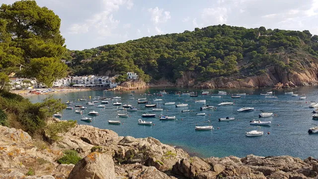 Camí de ronda Tamariu - Far de Sant Sebastià