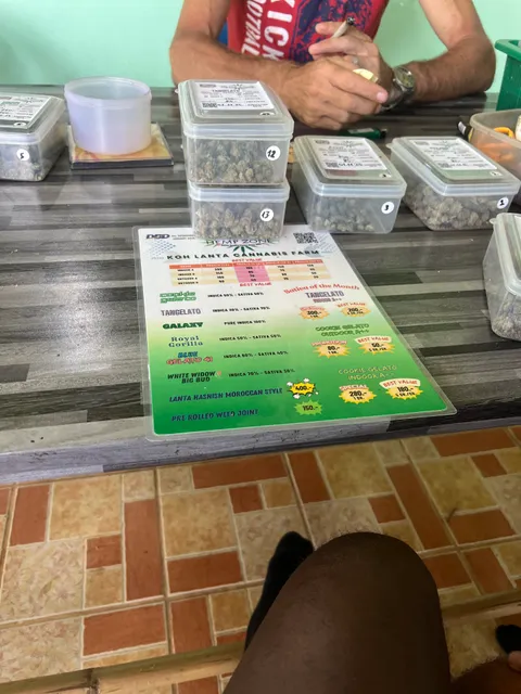 Hemp Zone Thailand (Cannabis Farm & Shop)