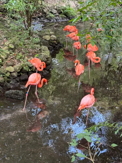 Homosassa Springs State Park Adventures