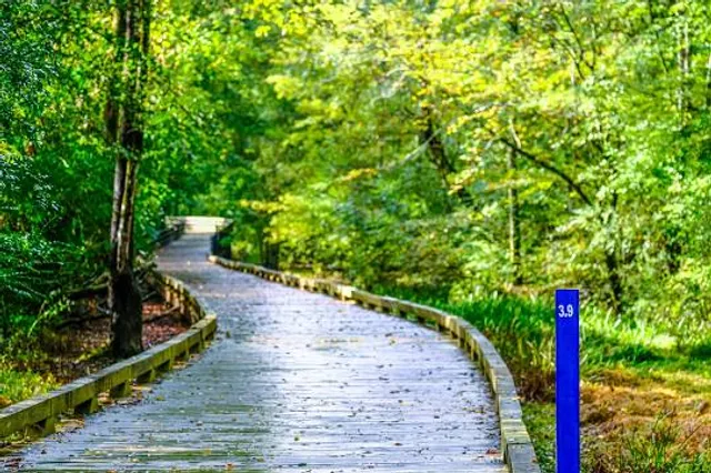 Nine Mile Forest Cross-Country Skiing and Snowshoeing