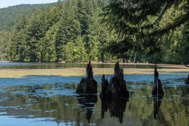 Crippen Regional Park