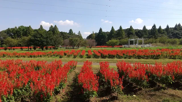 Omiya Hananooka Norin Garden