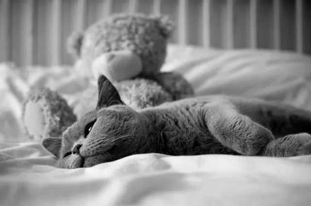 Serlachius Headquarters