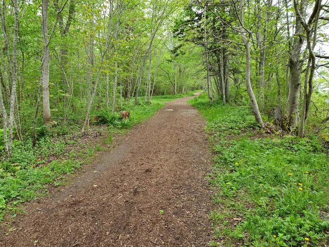 Tabasalu loodusõpperada