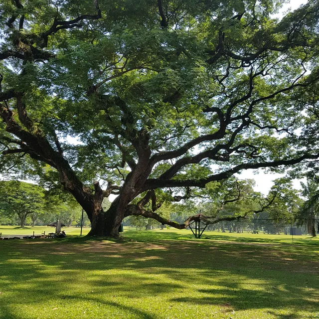 Chiang Mai Gymkhana Club