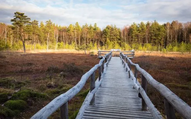 Naturpark Heidenreichsteiner Moor