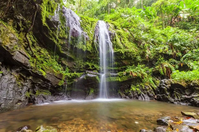 Quebrada las Delicias