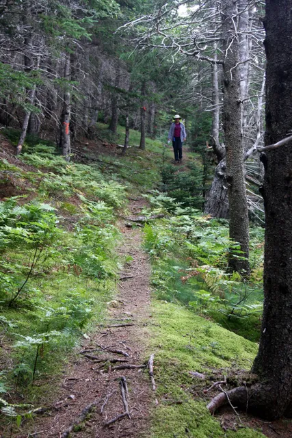 Sugarloaf Trailhead (Wilkie Sugar Loaf trail)