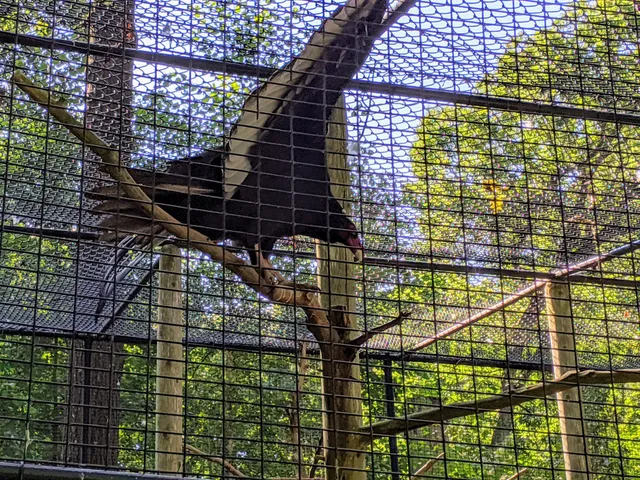 Blue Hills Trailside Museum