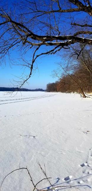 photo-2