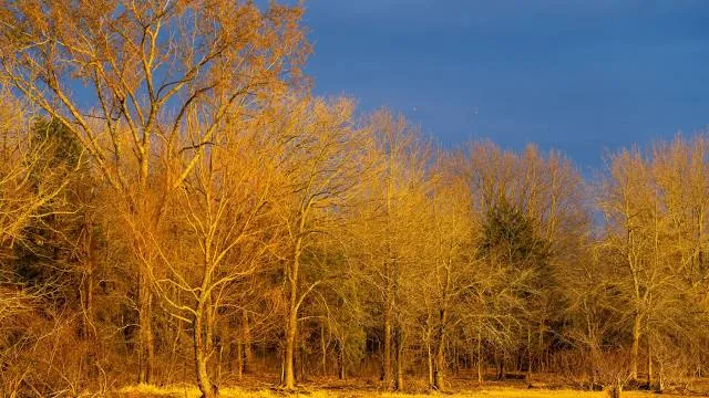 Cooper Lake State Park