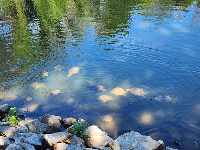 photo-1