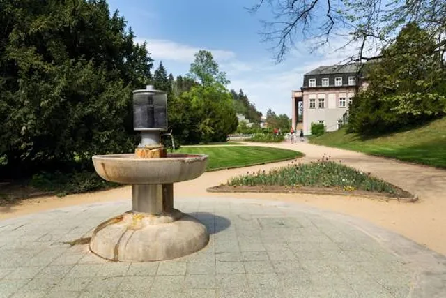 Spring of Dr. Stastny