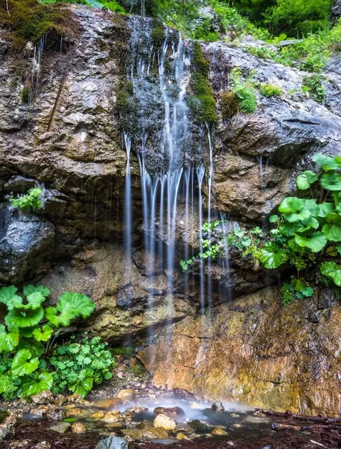 Foamy Valley Waterfall
