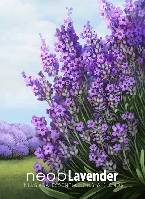 NEOB Lavender Boutique