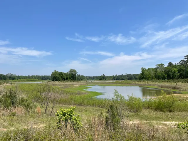 Spring Creek Nature Trail