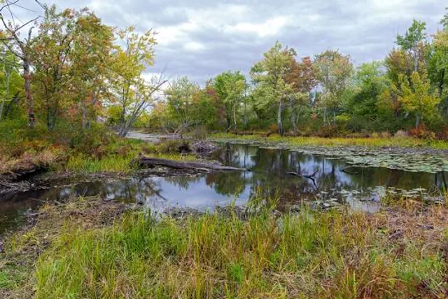 Missisquoi National Wildlife Refuge Admin Building and Visitor Contact Station
