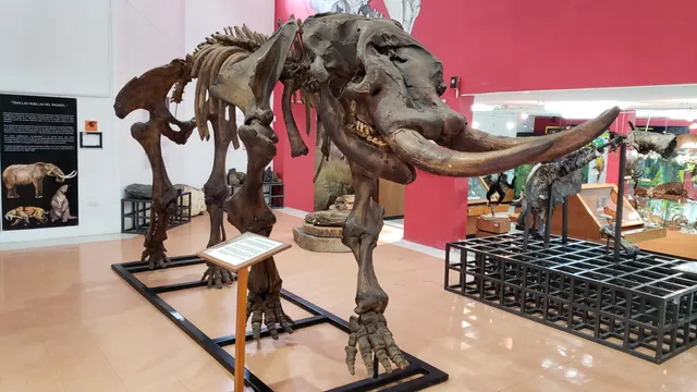 National Institute of Biodiversity