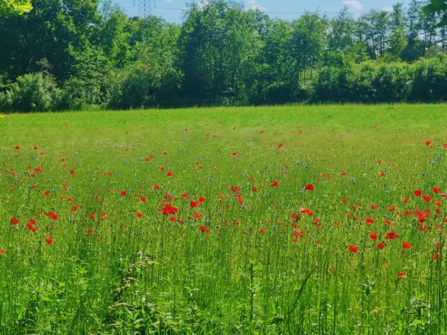 Van Gogh - Roosegaarde Cycle Path