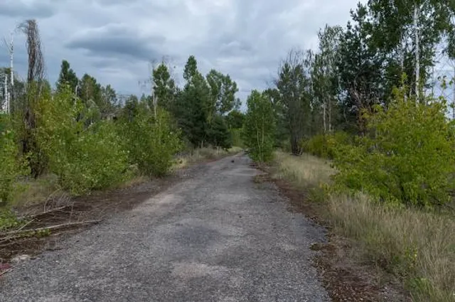 Затеречный район