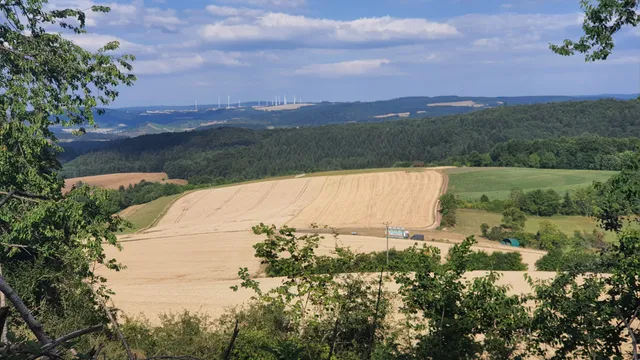 Wanderung Traumschleife Mannebach 111