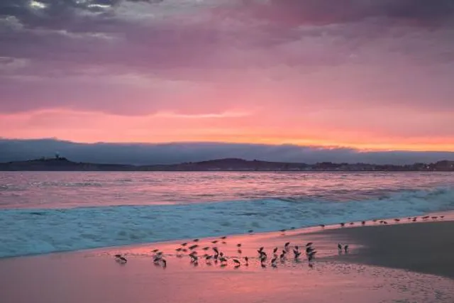 Roosevelt State Park