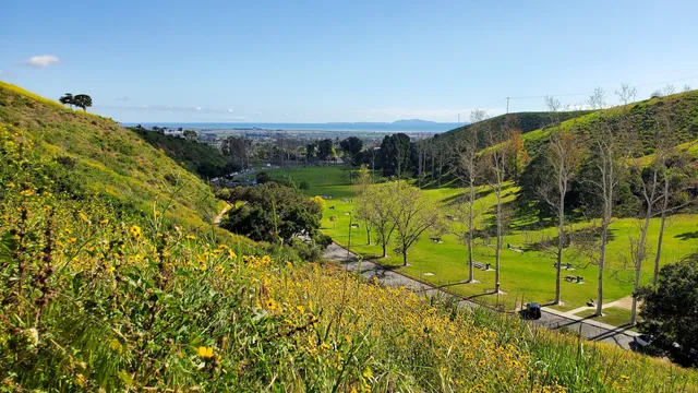 Arroyo Verde Hiking Trails