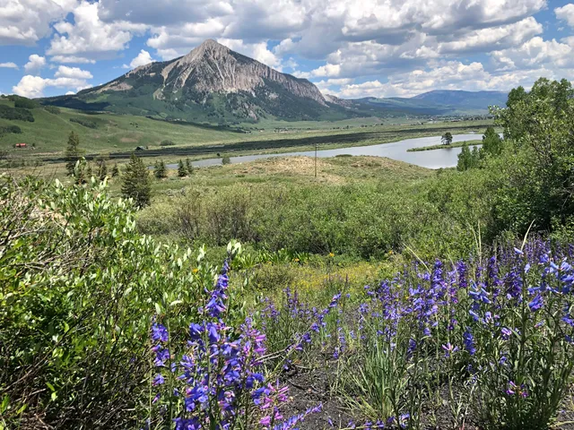 Woods Walk Trail Head