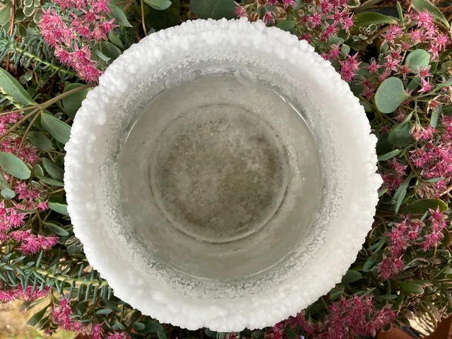 Kūrybos namai Druskos studija