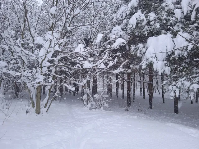Rozhdestvenskiy Park