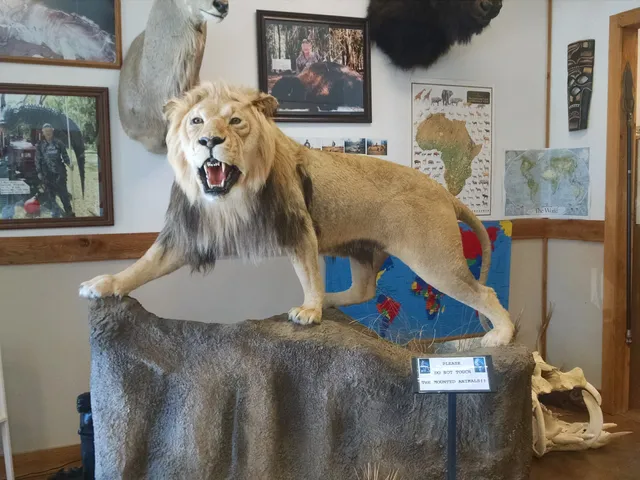 Spear Hunting Museum
