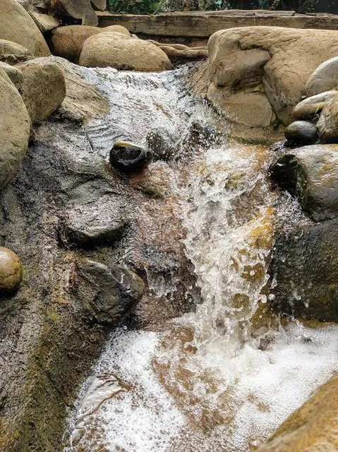 Environmental Nature Center