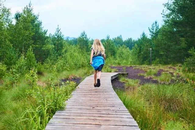 Lookout Tower Bridge Soumarský