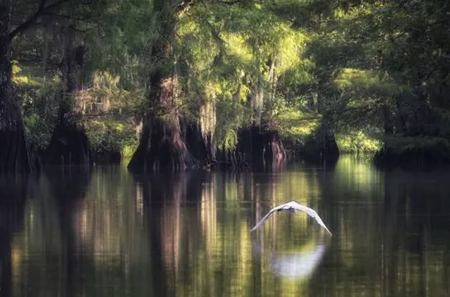 Atchafalaya National Wildlife Refuge