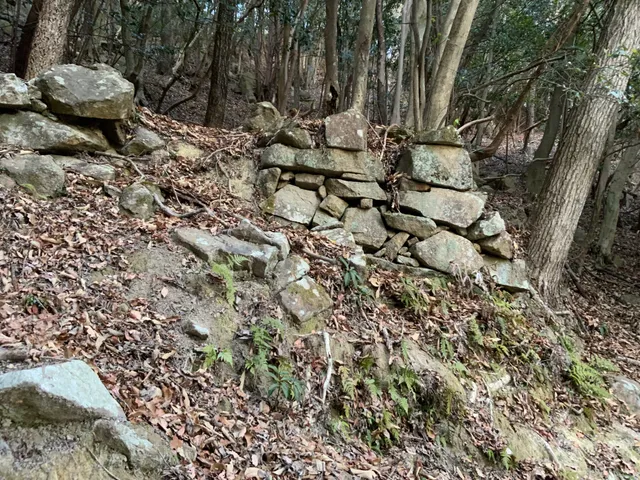 Kanjosan Castle Ruins