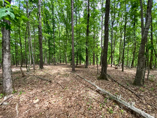 Ballantyne District Park