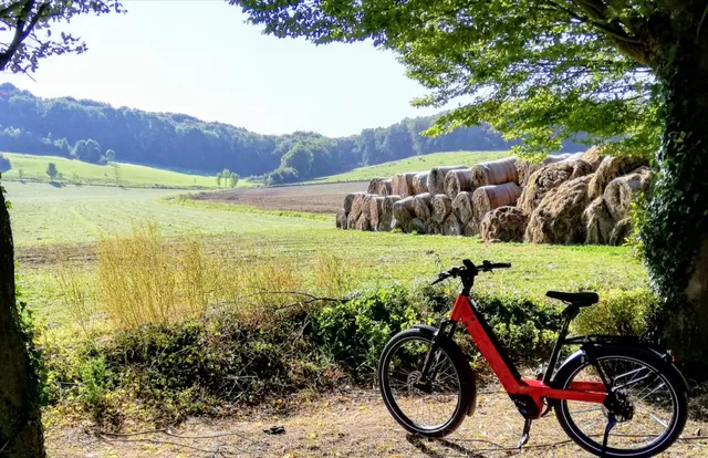 Fiets For Fun - fotozoektochten